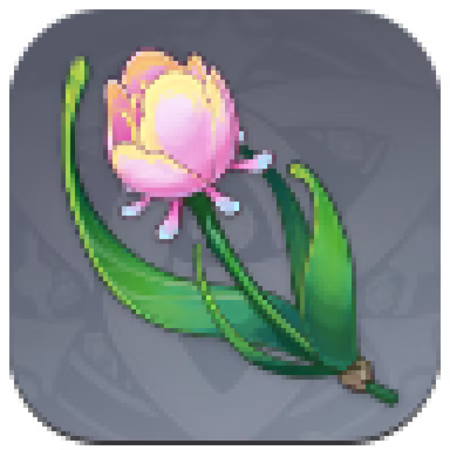 Rainbow Rose Image