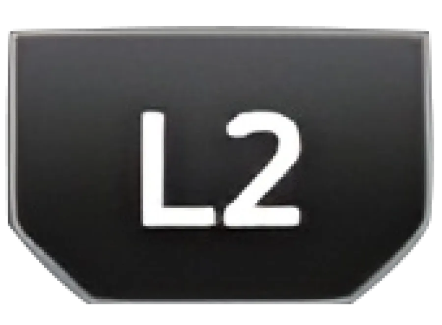 PS4 - L2 Button