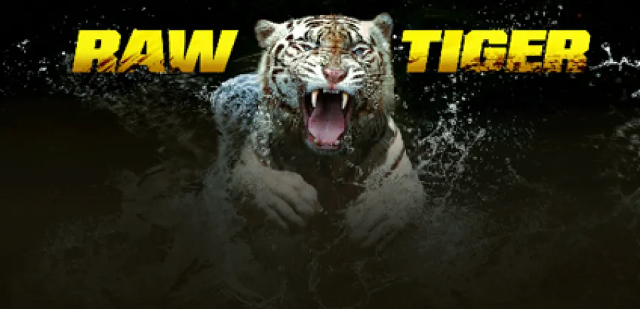 Raw Tiger
