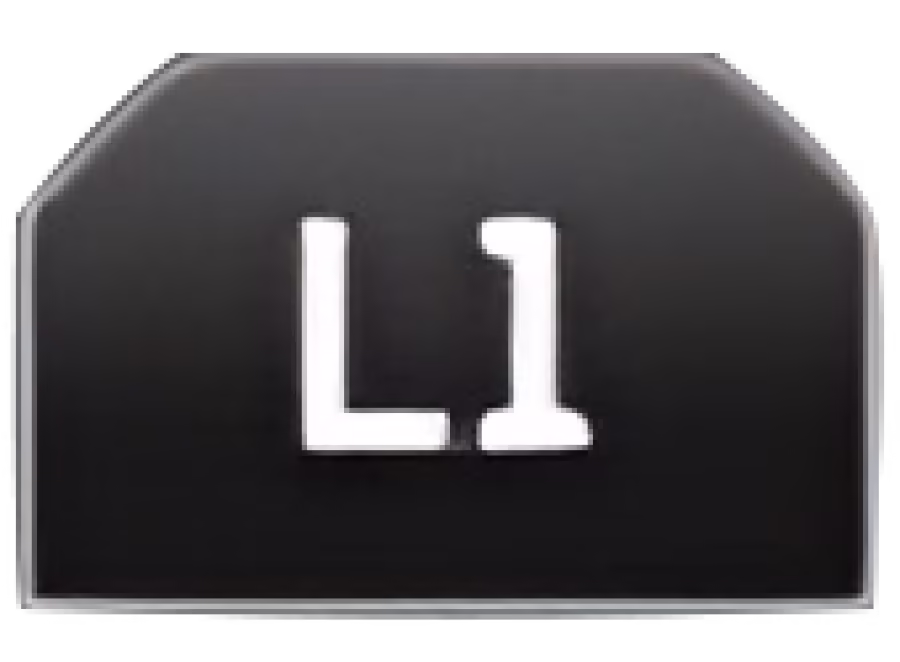 PS4 - L1 Button