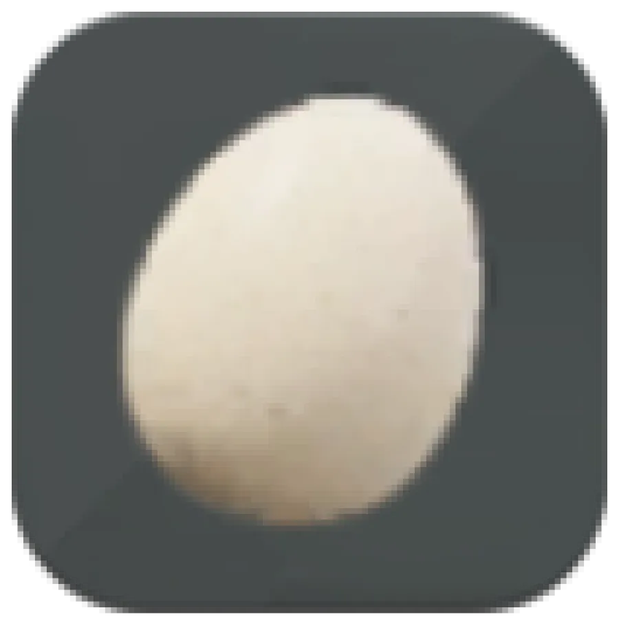 Palworld - Egg Material