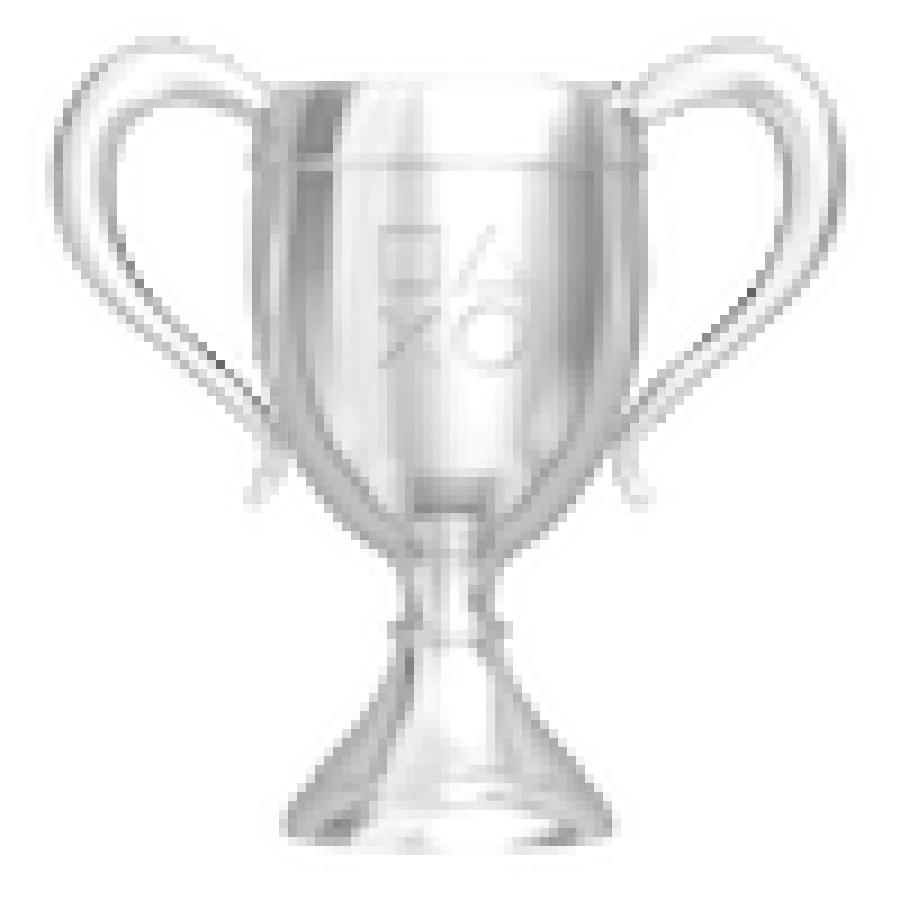 silver trophy.png