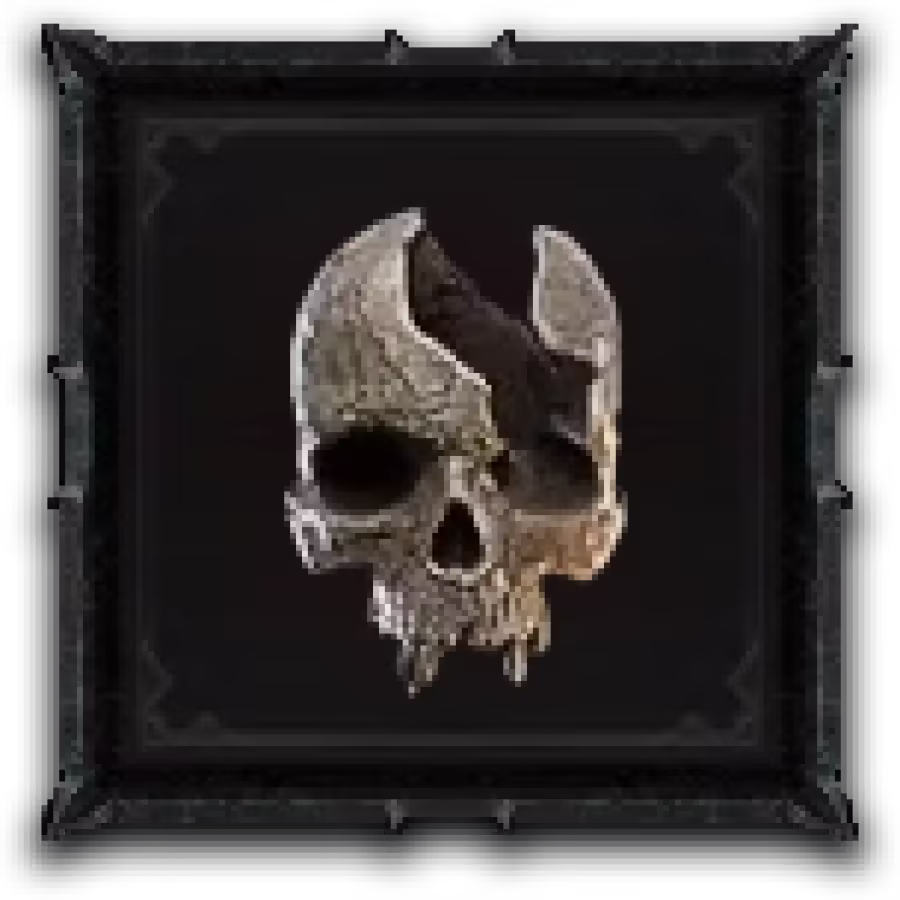 Skull Fragment