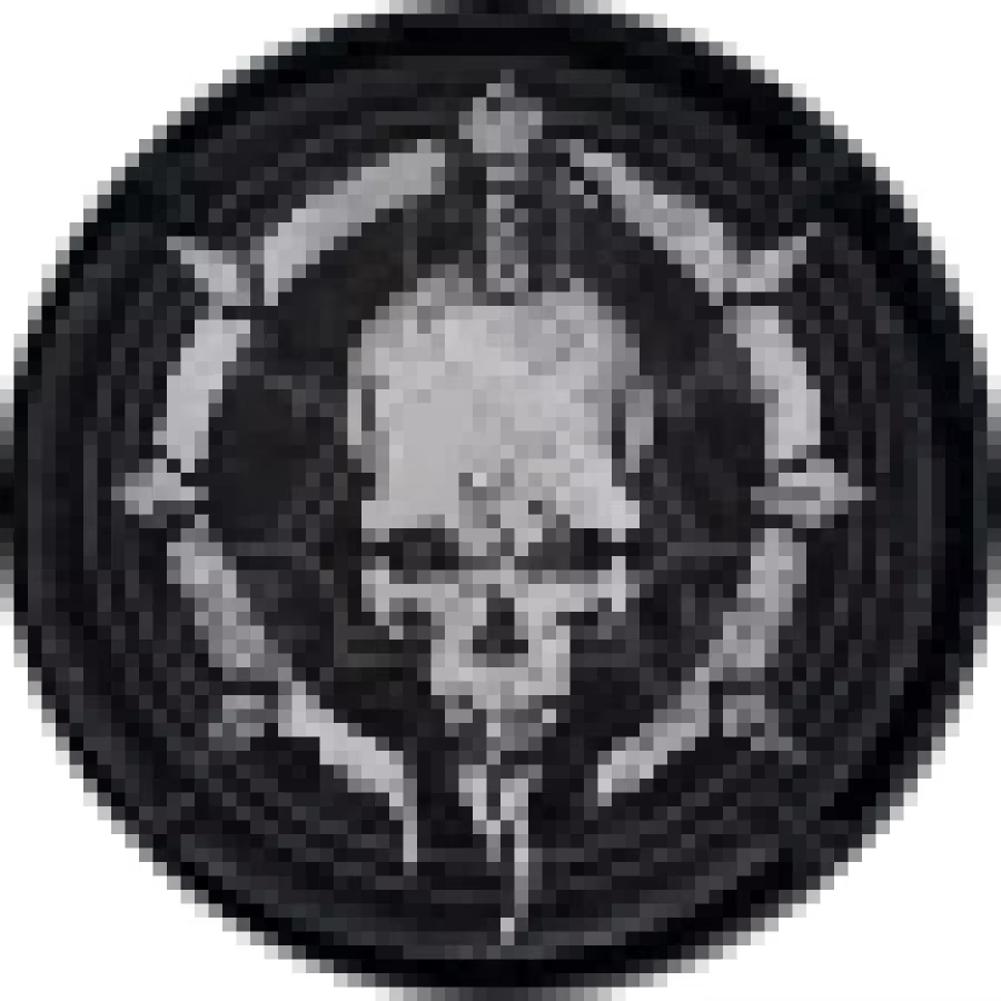 Diablo 4 - Necromancer Icon