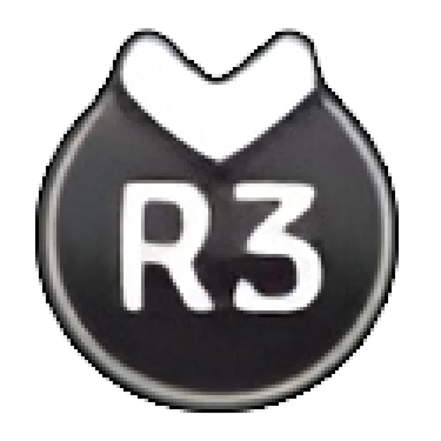 PS4 - R3 Button