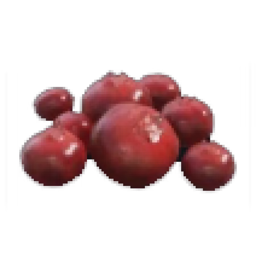 Palworld - Red Berries Resource