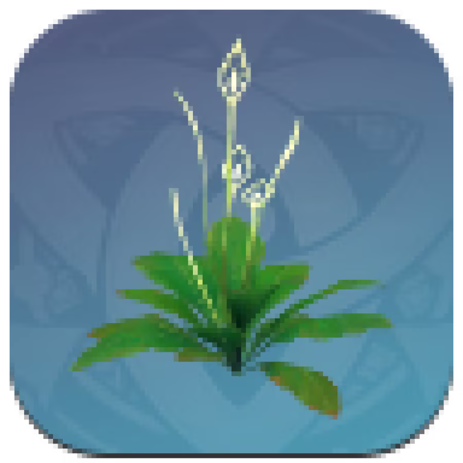 Genshin Impact - Greenery of Floral Waters Image