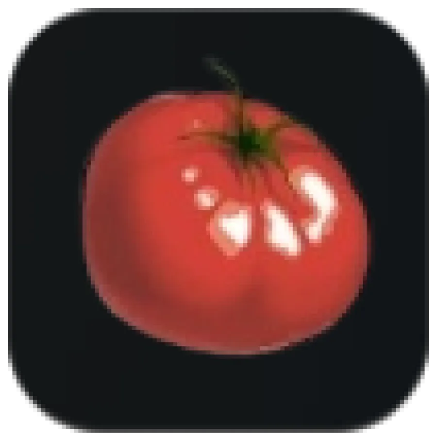Palworld - Tomato Material