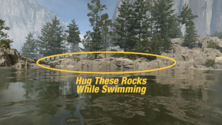 Hug These Rocks While Swimming